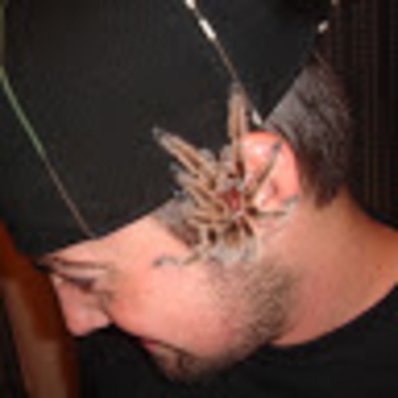 Meet your Posher, Washington d.c. to - Picture 1 of 1